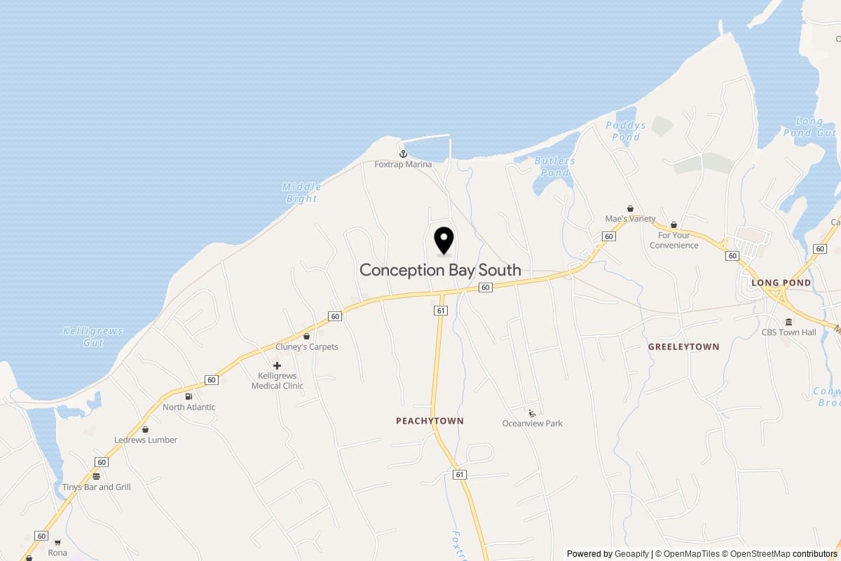🛠️ Appliance Repair Conception Bay South: Find Technician Near You. No ...