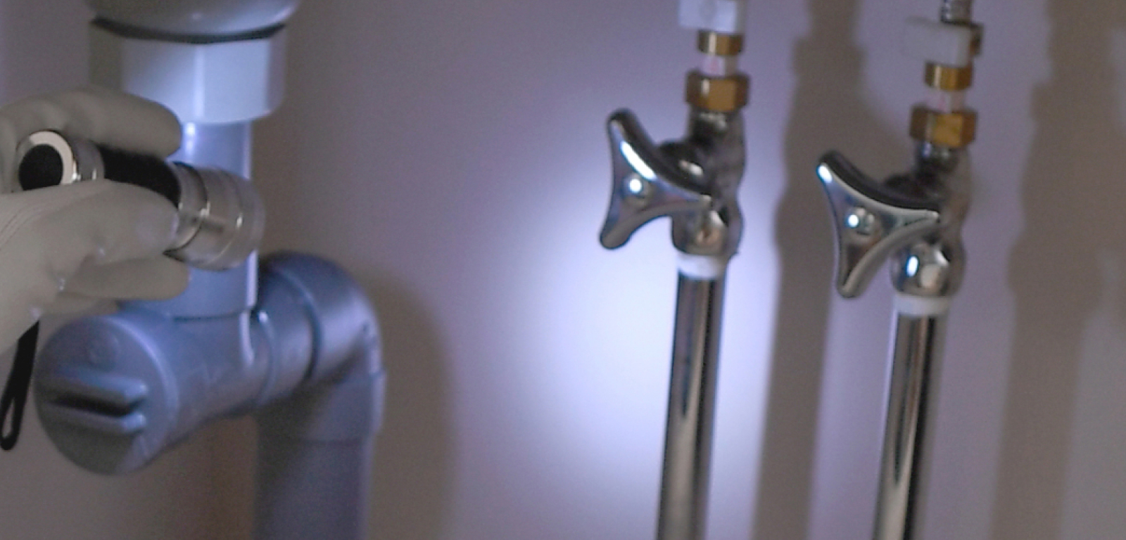 Une personne pointe une lampe de poche, la lumière éclairant deux valves.